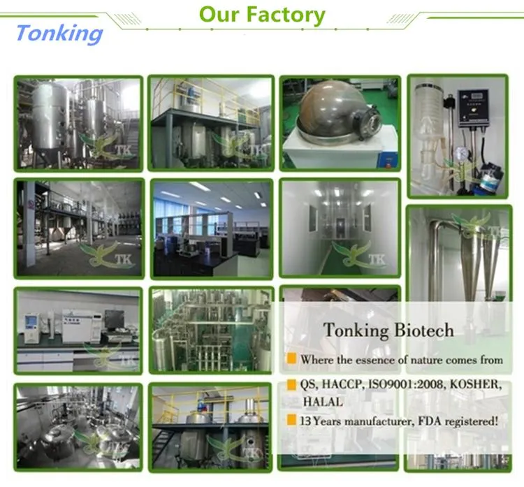 Natural Fresh Fruit Juice Powder Red Dragon Fruit Juice Powder Pitaya Fruit Powder