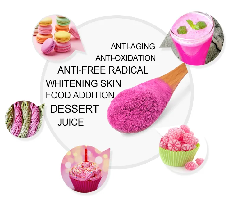 Natural Fresh Fruit Juice Powder Red Dragon Fruit Juice Powder Pitaya Fruit Powder