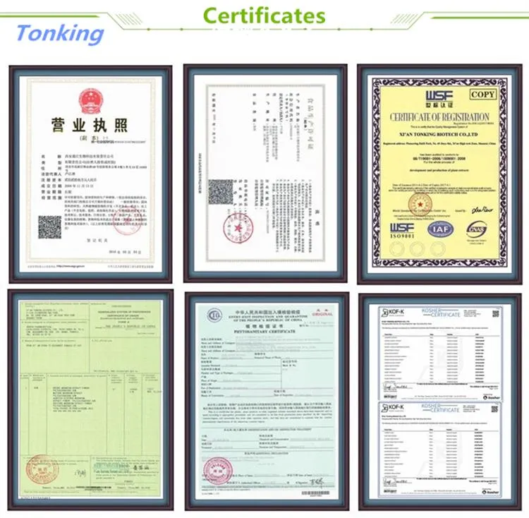 Natural Fresh Fruit Juice Powder Red Dragon Fruit Juice Powder Pitaya Fruit Powder