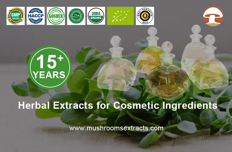 Natural Herb High Nutritional Portulaca Oleracea Extract Liquid Solvent Extraction for Cosmetic Ingredient