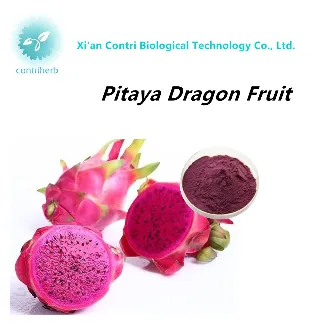 Natural Pitaya Dragon Fruit Powder Extract