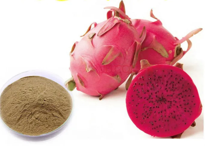 Natural Pitaya Extract Powder Fruit Extracts