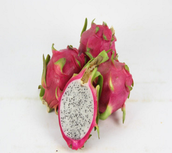 Natural Pitaya Extract Powder Fruit Extracts