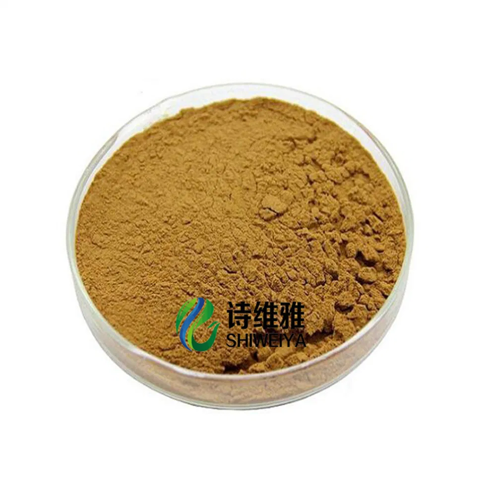 Natural Plant Extract Magnolia Bark Extract with Biphenol 20% for Lipid-Lowering Herb Herbal