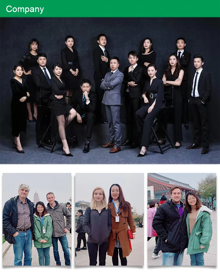 Natural Pure Sophora Root Extract Matrinee Matrine