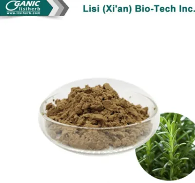 Natural Rosemary Extract Rosemarinic Acid