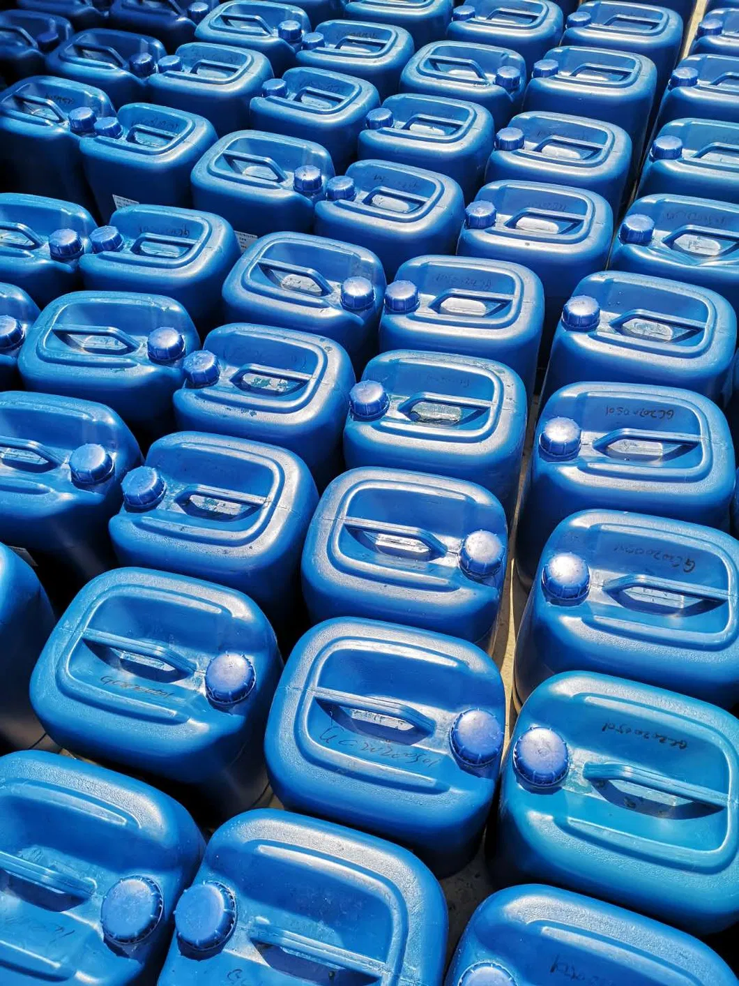 Natural Sourse Sophora Flavescens Extract Matrine 98%