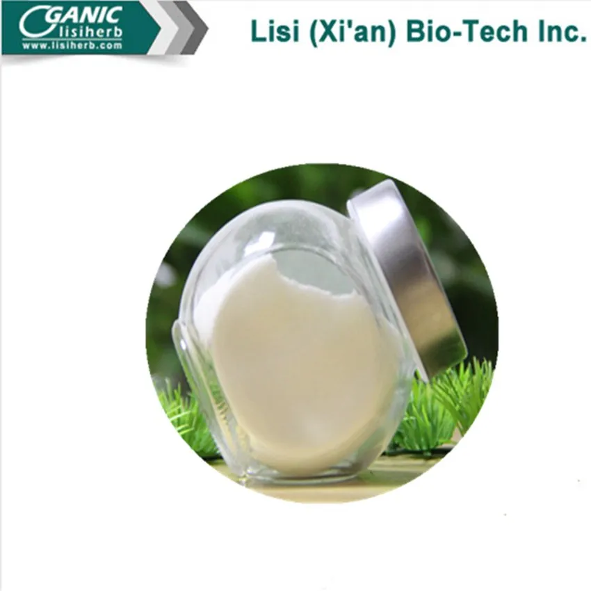 Natural Sourse Sophora Flavescens Extract Matrine 98%