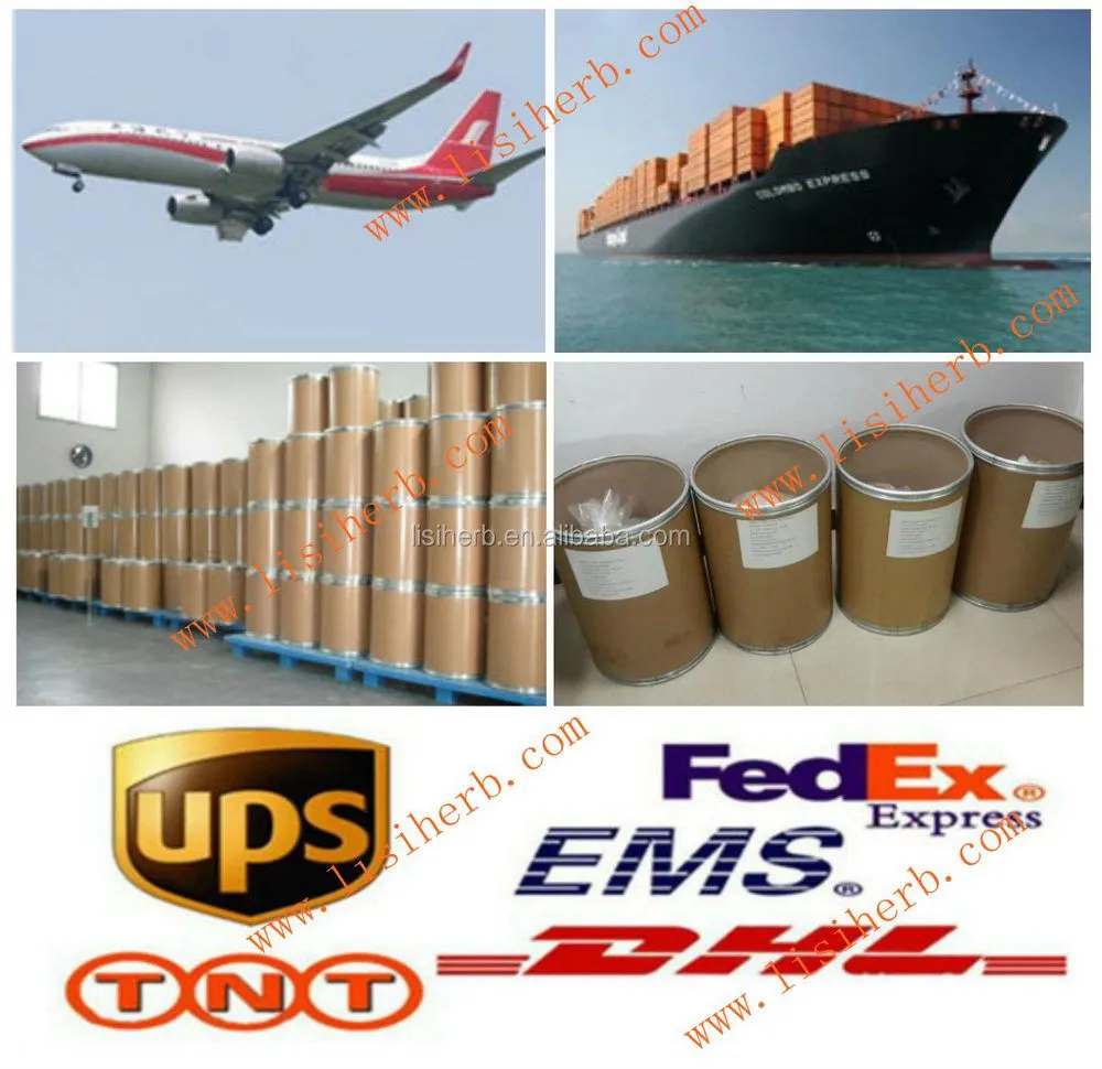 Natural Sourse Sophora Flavescens Extract Matrine 98%