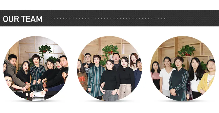 Natural Sourse Sophora Flavescens Extract Matrine 98%