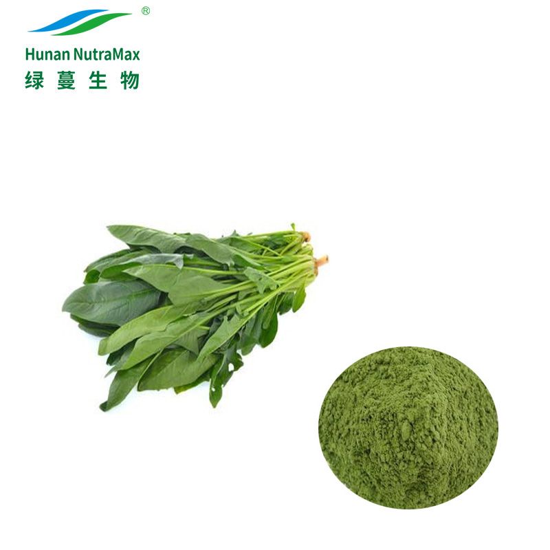 Natural Spinach Extract Powder Water Soluable for Food