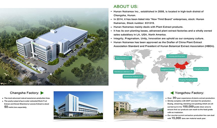 Natural Spinach Extract Powder Water Soluable for Food