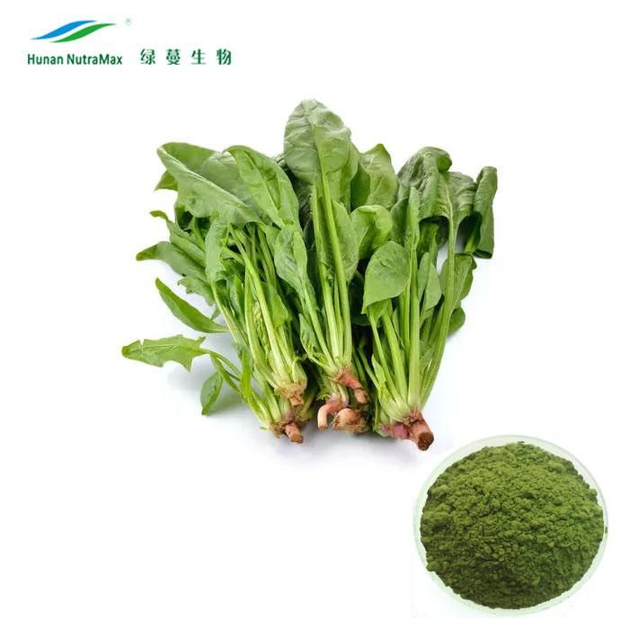 Natural Spinach Extract Powder Water Soluable for Food