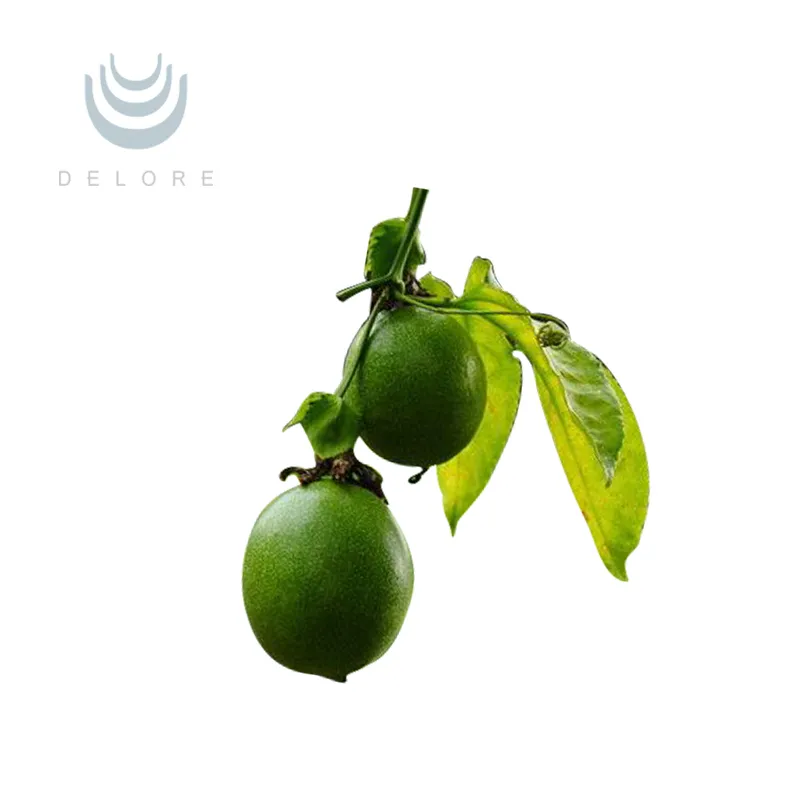 Natural Sweetner Monk Fruit Extract 20%25%50%70% Mogroside V Luo Han Guo Extract Monk Fruit Powder Monk Fruit Concentrate Juice Herbal Extract