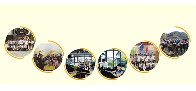 Natural Sweetner Monk Fruit Extract 20%25%50%70% Mogroside V Luo Han Guo Extract Monk Fruit Powder Monk Fruit Concentrate Juice Herbal Extract