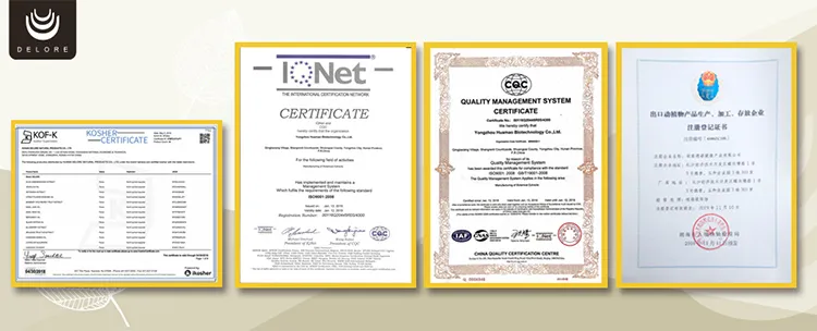 Natural Sweetner Monk Fruit Extract 20%25%50%70% Mogroside V Luo Han Guo Extract Monk Fruit Powder Monk Fruit Concentrate Juice Herbal Extract