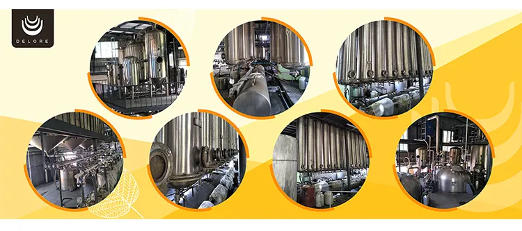 Natural Sweetner Monk Fruit Extract 20%25%50%70% Mogroside V Luo Han Guo Extract Monk Fruit Powder Monk Fruit Concentrate Juice Herbal Extract