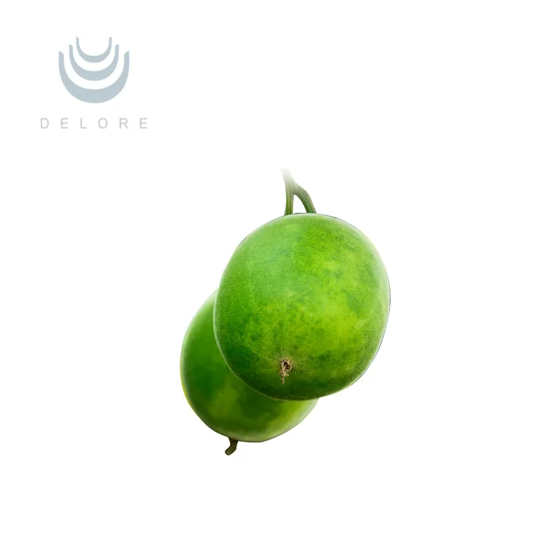 Natural Sweetner Monk Fruit Extract 20%25%50%70% Mogroside V Luo Han Guo Extract Monk Fruit Powder Monk Fruit Concentrate Juice Herbal Extract