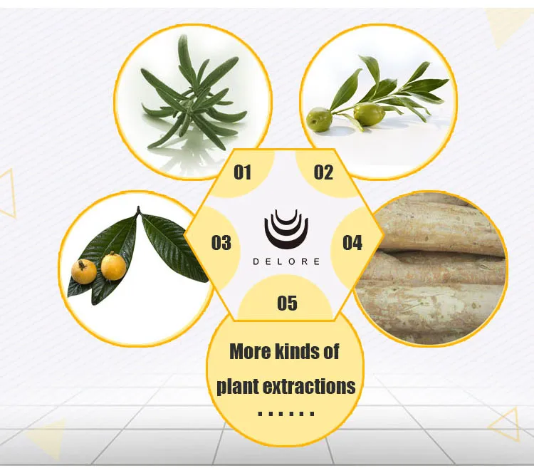 Natural Sweetner Monk Fruit Extract 20%25%50%70% Mogroside V Luo Han Guo Extract Monk Fruit Powder Monk Fruit Concentrate Juice Herbal Extract