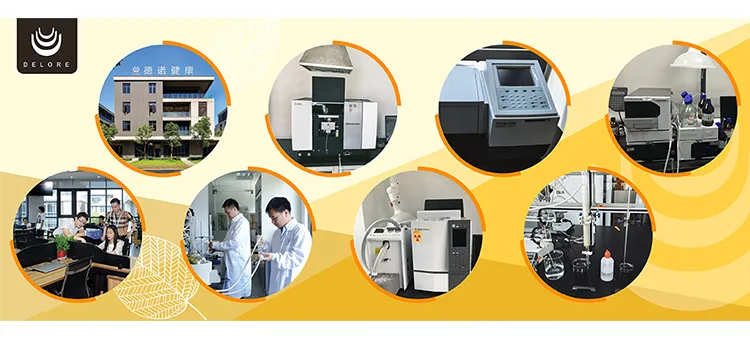 Natural Sweetner Monk Fruit Extract 20%25%50%70% Mogroside V Luo Han Guo Extract Monk Fruit Powder Monk Fruit Concentrate Juice Herbal Extract