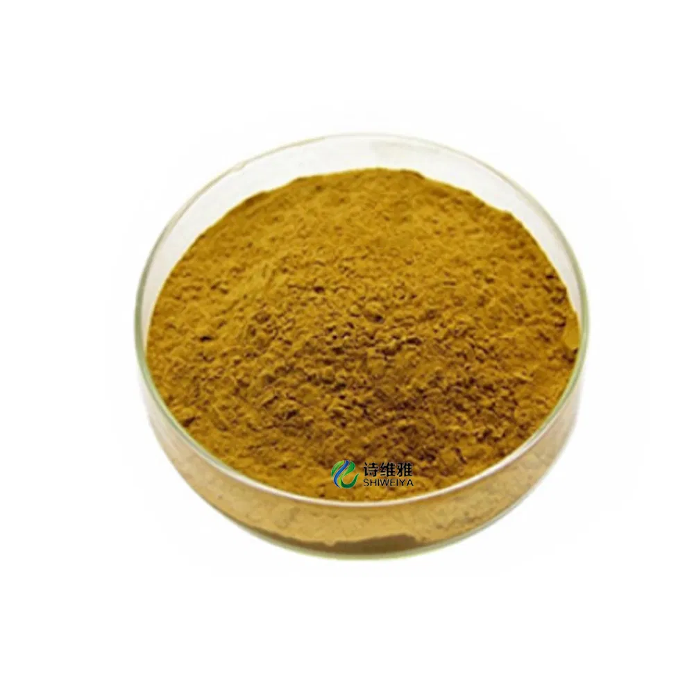 Natural Tamarind Powder Tamarindus Indica/Tamarind Seed Extract