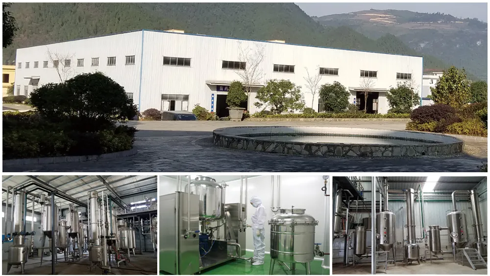 Nutritional Supplement Fruit Extract Red Pomegranate Extract Pomegranate Juice Powder