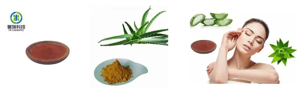 OEM Supply China Pure Natural Aloe Vera Leaf Extract Aloin Barbaloin for Skincare