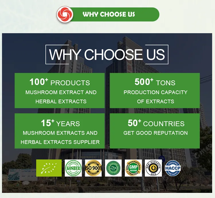 Plant Extract Astraglus Root Extract with High Polysaccharides Treating Aplastic Anemia