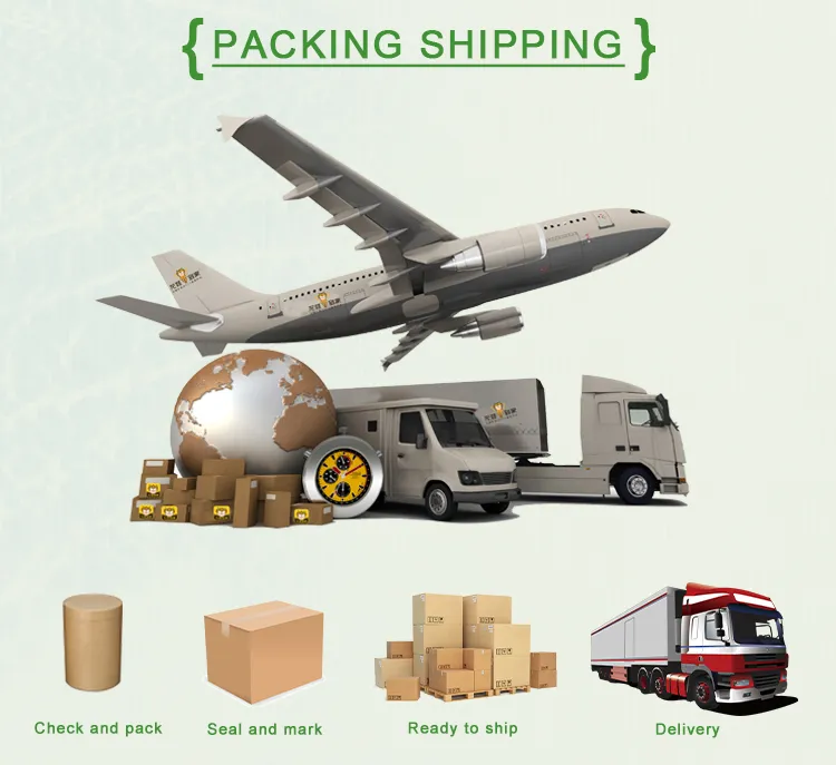 Plant Extract Astraglus Root Extract with High Polysaccharides Treating Aplastic Anemia