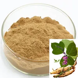 Plant Extract Kudzu Extract Puerarin CAS No. 3681-99-0 Factory Supply
