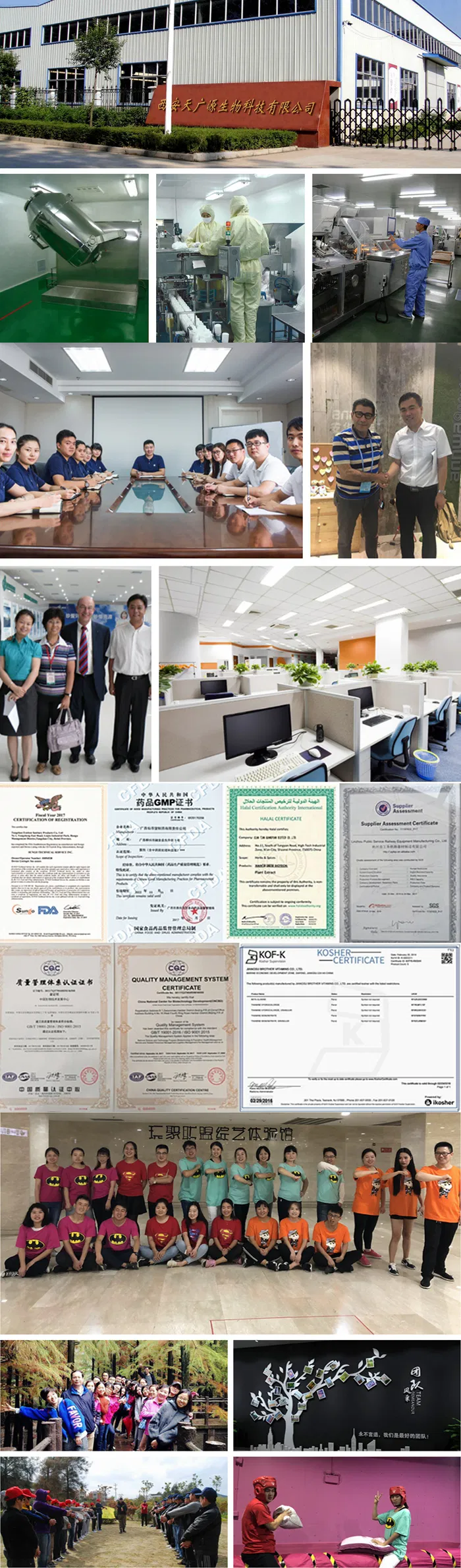 Professional Plant Extract Manufacturer Soybean Extract CAS 574-12-9 Isoflavone