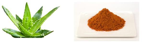 Pure Aloe Vera Extract Powder 98% Aloe Emodin for Anti-Virus, Improve Immunity