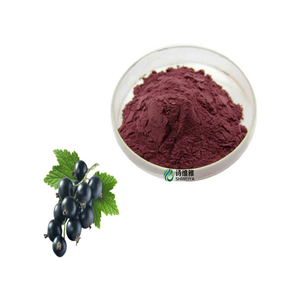 Pure European Bilberry Extract Billberry Extract CAS No: 84082-34-8 Blueberry Extract