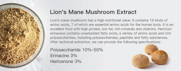 Pure Natural 100% Shiitake Mushroom Extract Shiitake Mushroom Powder