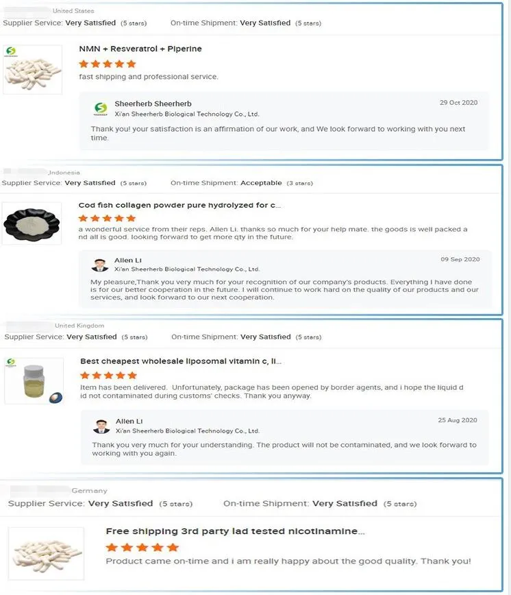 Pure Natural 100% Shiitake Mushroom Extract Shiitake Mushroom Powder