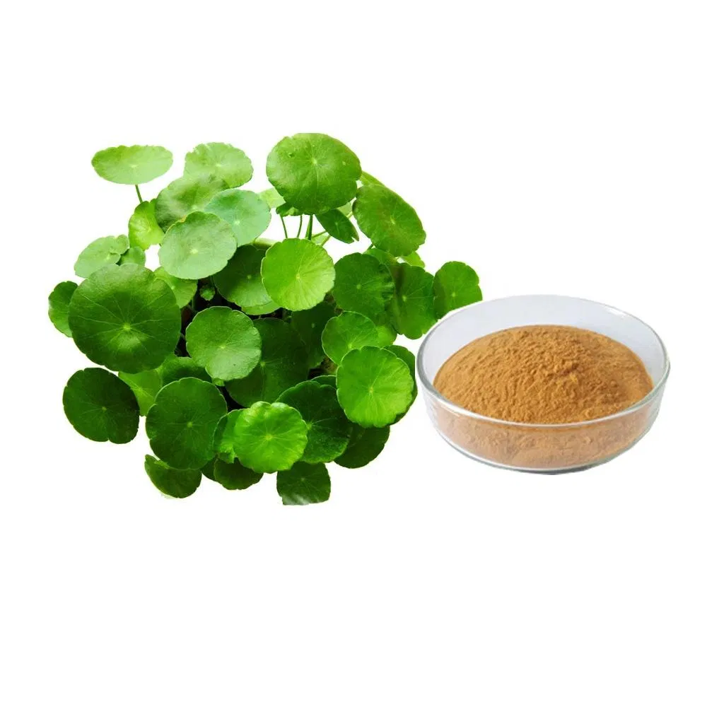 Pure Natural Gotu Kola Extract Centella Asiatica Extract Powder