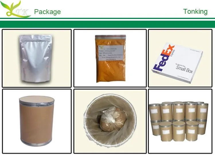 Radix Angelica Tuhuo Extract 1% Ligustilide Dong Quai Angelica Sinensis Root Powder
