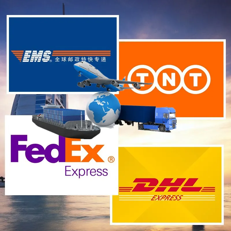 Rehmannia Root Rehmannia Root Extract Rehmannia Chinensis Root Extract 5: 1 Tlc and 10: 1 Tlc