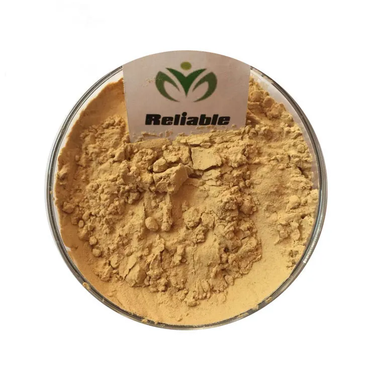 Reliablebio Pure Kelp Seaweed Extract Fucoidan Powder CAS 9072-19-9