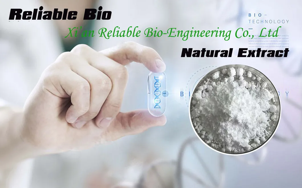 Reliablebio Pure Kelp Seaweed Extract Fucoidan Powder CAS 9072-19-9