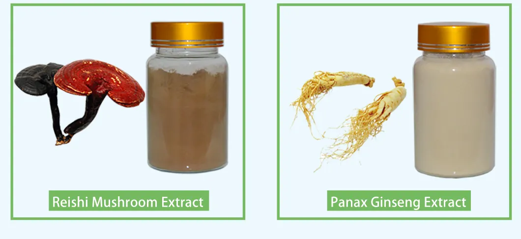 Rhus Chinensis Extract 40% Ellagic Acid Extracted From Gallnut