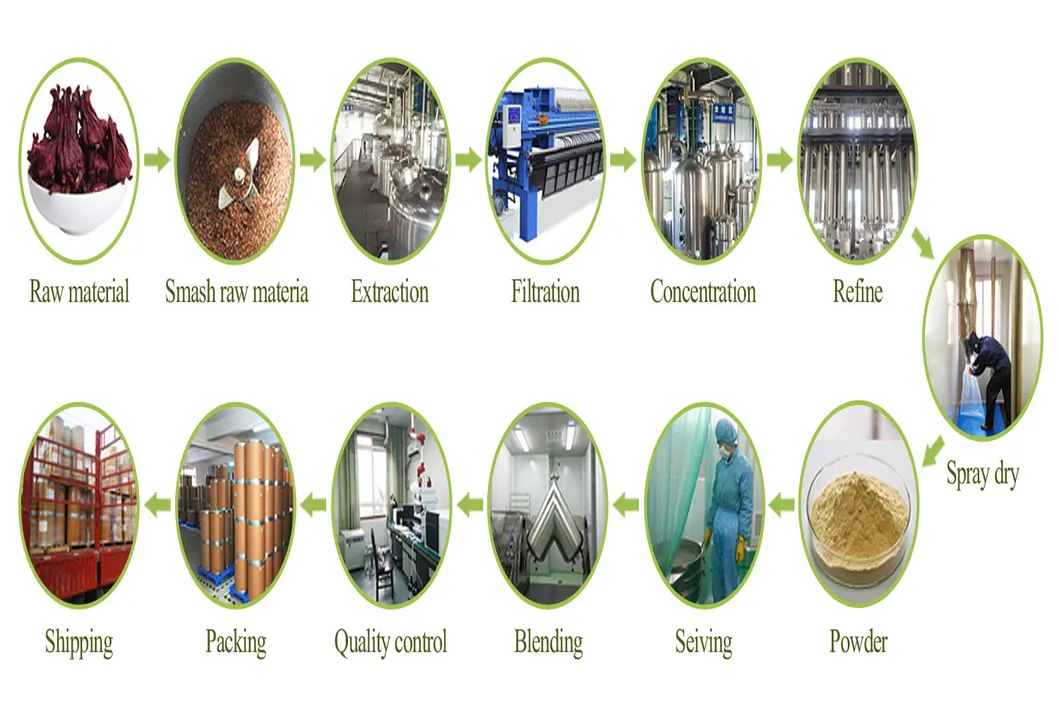 Rosemary Extract Organic Natural Herb Extract for Health Food