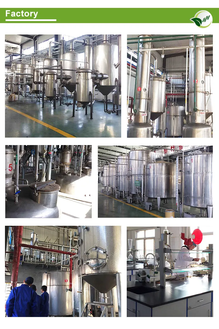 Rosmarinic Acid Powder /Rosemary Extract for Anti-Oxidation