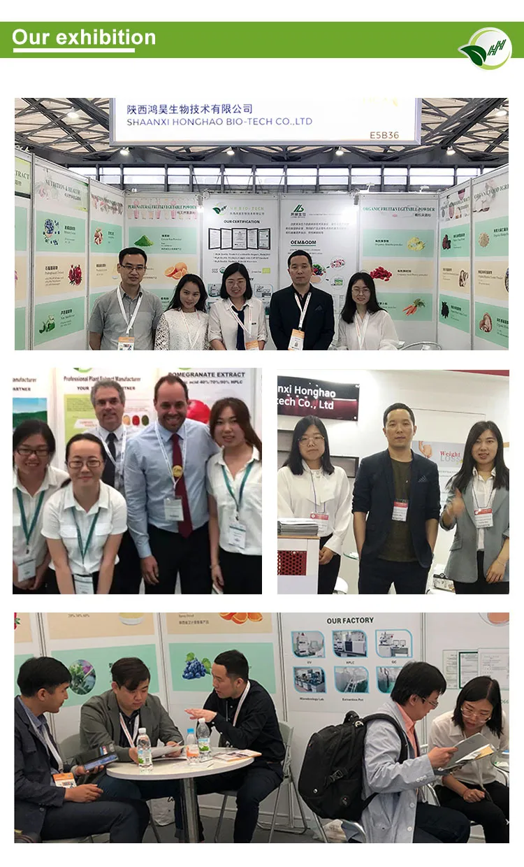 Rosmarinic Acid Powder /Rosemary Extract for Anti-Oxidation