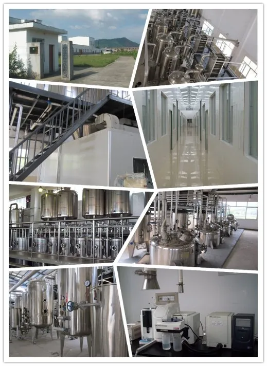 Saffron Extract Good for Blood Disorders