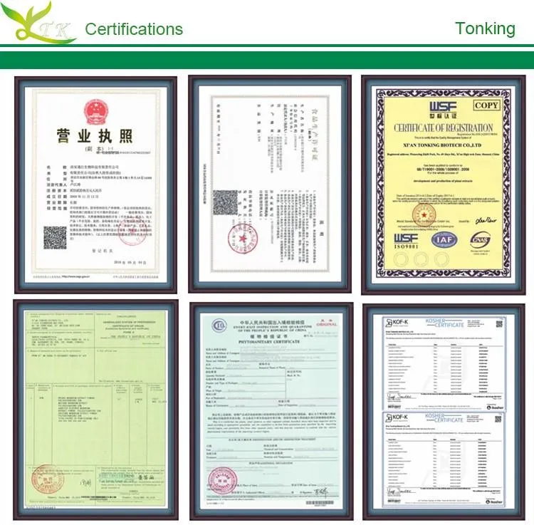 Scutellaria Baicalensis Baikal Skullcap Root Extract Powder 85% Baicalin