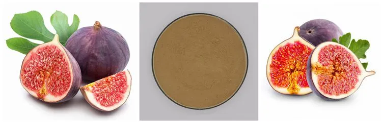 SOST Biotech Hot Selling Free Sample Fig Leaf Extract Powder