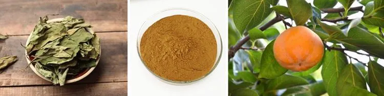 SOST Supply 100% Natural Organic Persimmon Extract Powder