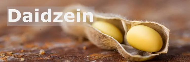 Soybean Extract Powder 98% Daidzein