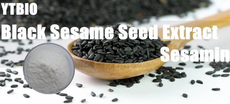 Supply 10%70% Black Sesame Seed Extract Sesamin